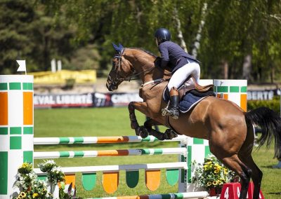 Cheval 1