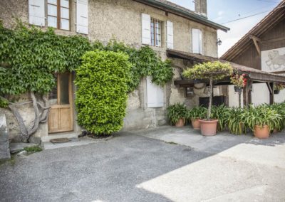 Pension pour chevaux Geneve